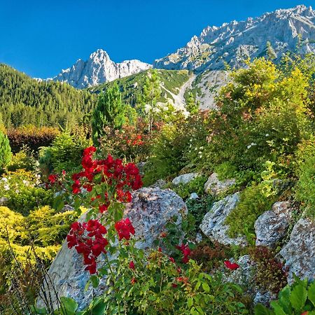 Pension Stoffenbauer Ramsau am Dachstein Eksteriør billede