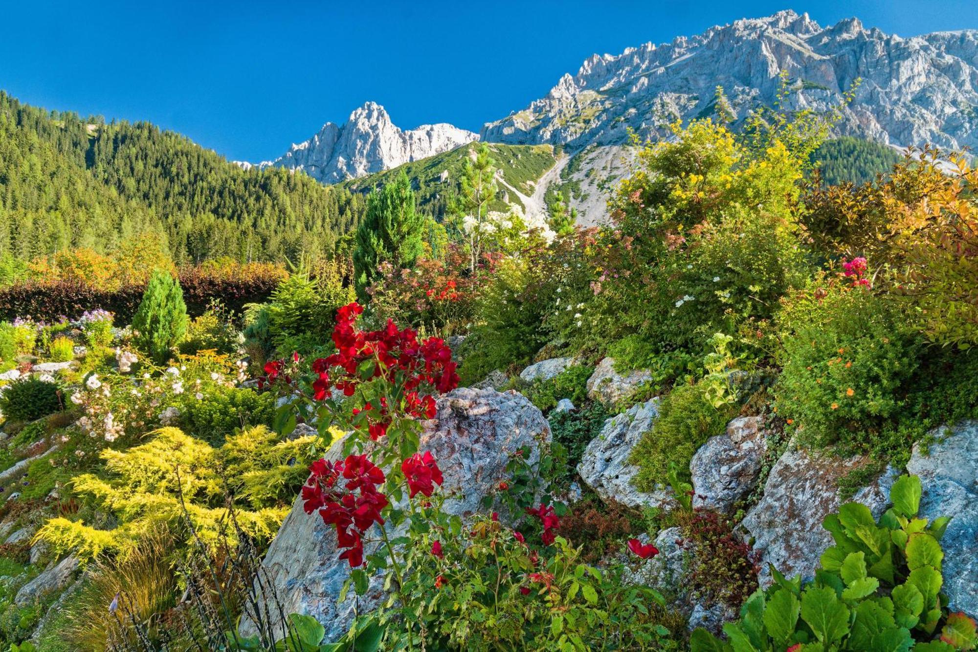 Pension Stoffenbauer Ramsau am Dachstein Eksteriør billede