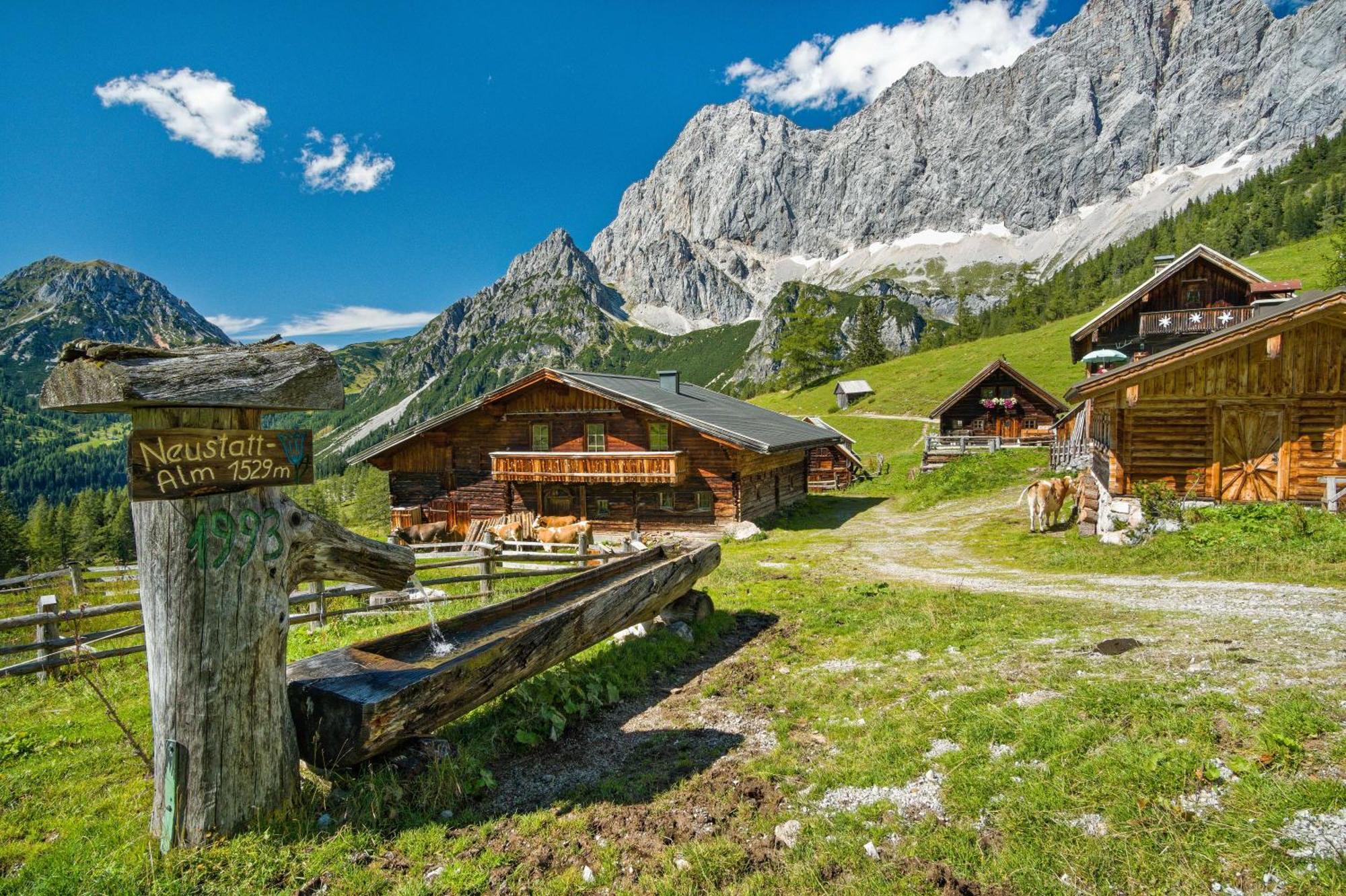 Pension Stoffenbauer Ramsau am Dachstein Eksteriør billede