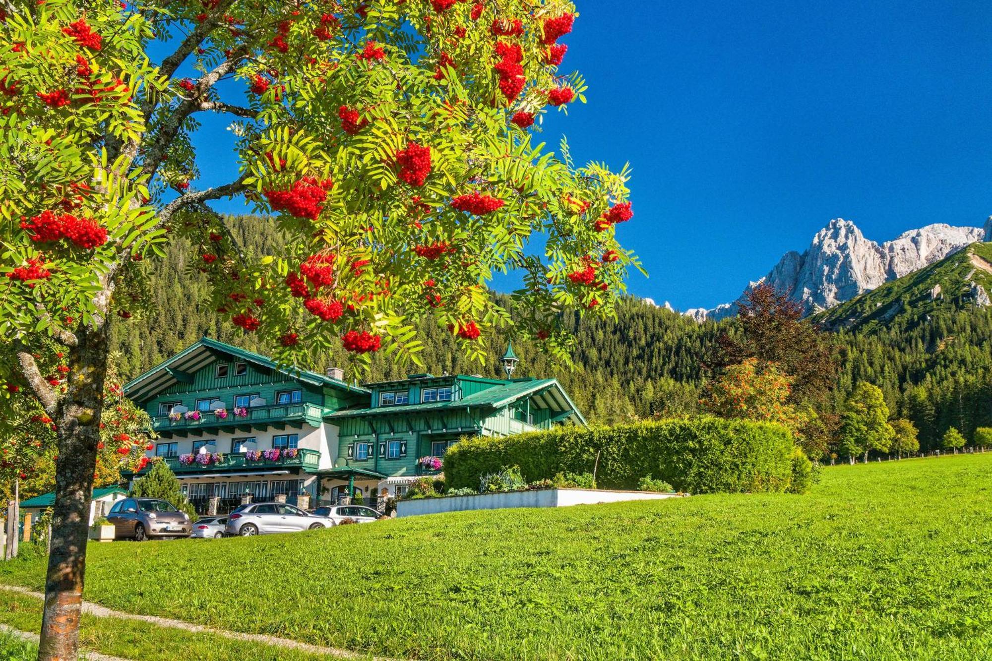 Pension Stoffenbauer Ramsau am Dachstein Eksteriør billede