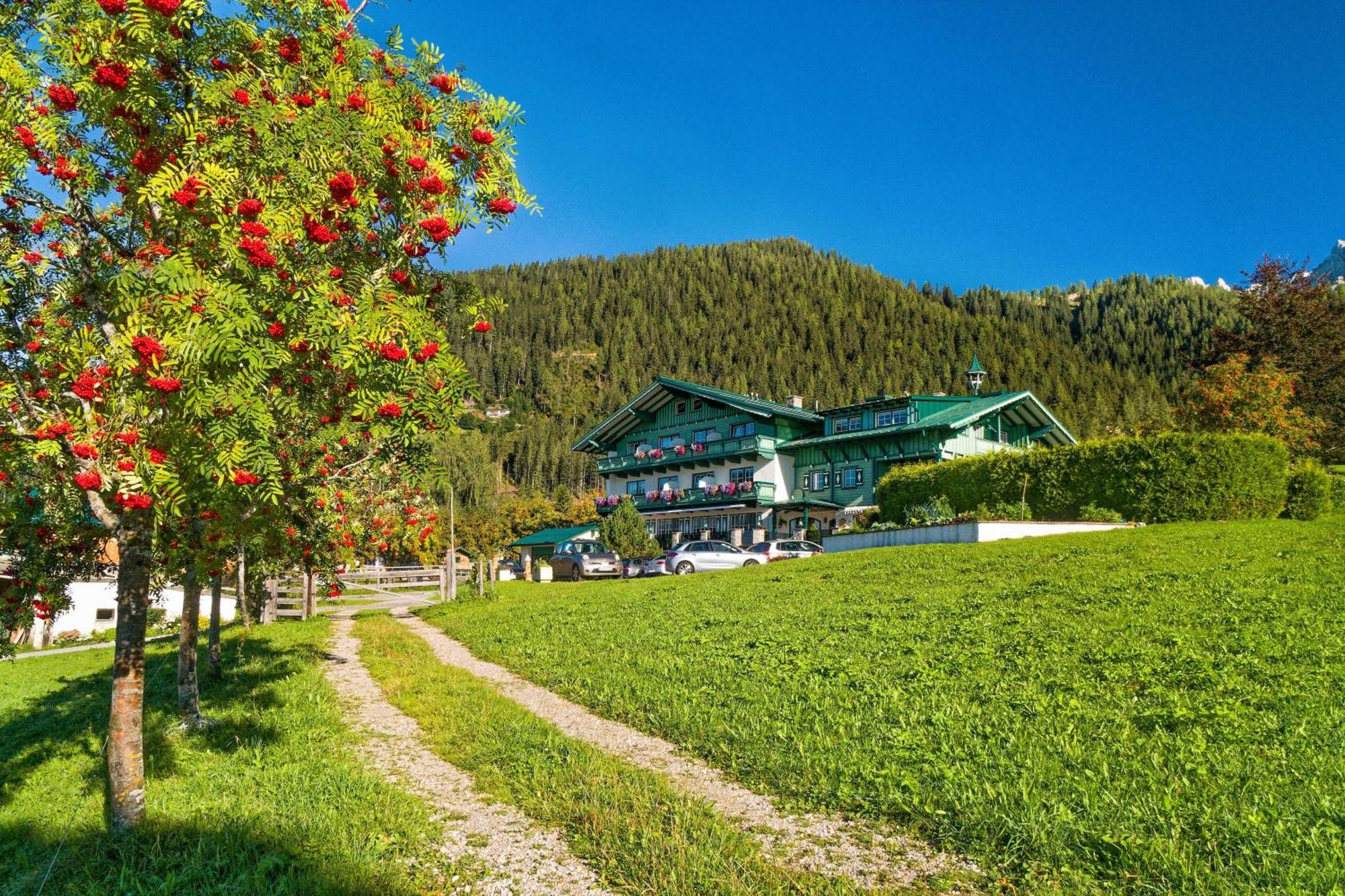 Pension Stoffenbauer Ramsau am Dachstein Eksteriør billede