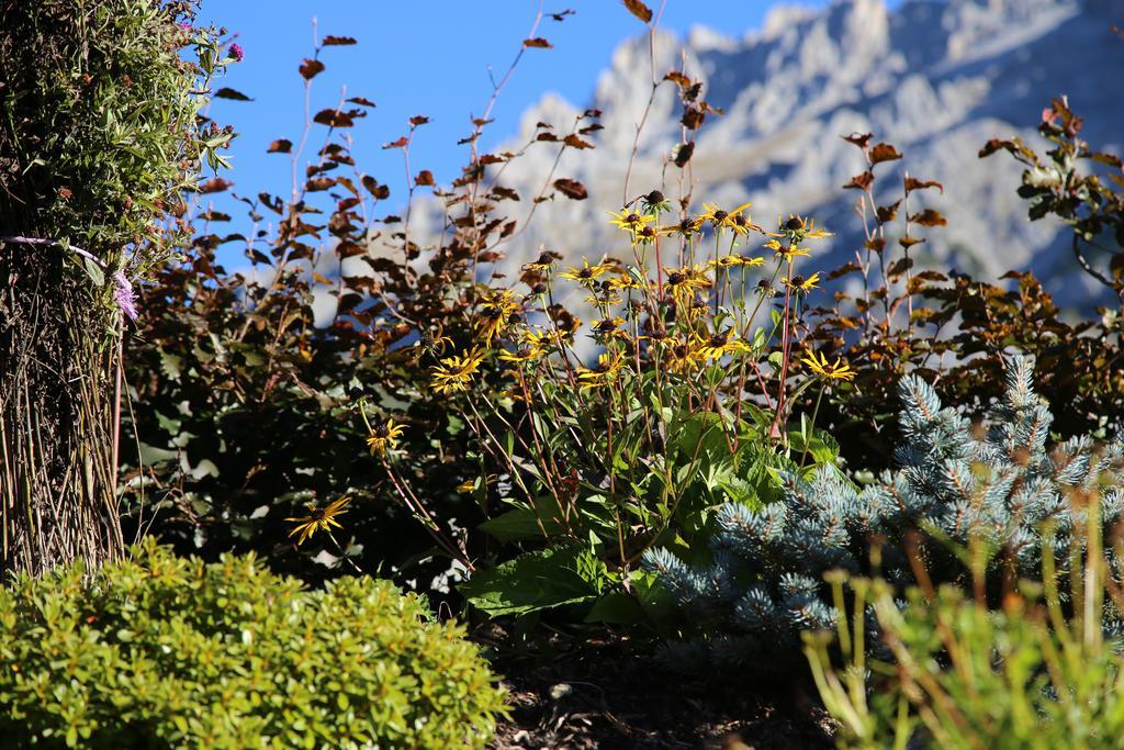 Pension Stoffenbauer Ramsau am Dachstein Eksteriør billede